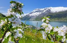 Bergen: Scenic Hardangerfjord with Waterfalls & Lunch at a Garden