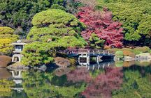 Shinjuku Gyoen National Garden 2 Hour Walking Tour
