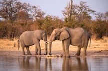 Hwange National Park 3 Days Package