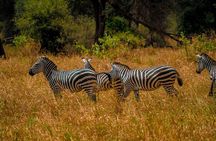 Hwange National Park 3 Days Package