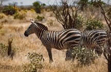 Hwange National Park 3 Days Package