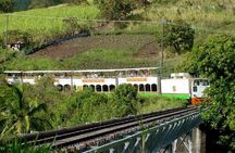 St.Kitts Sugar Train Tour / Pick up & Drop-Off Included 