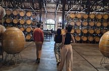 Mendoza Winery Tour with Olive Trees in Private Service