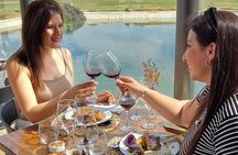 Mendoza Winery Tour with Olive Trees in Private Service