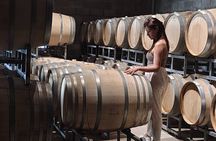 Mendoza Winery Tour with Olive Trees in Private Service