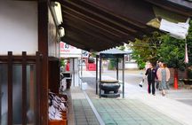 Sano Day Trip by Car: Ramen, Imo Fry, Nature and a bit of History