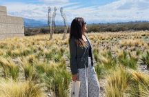 Winery Tour of Uco Valley