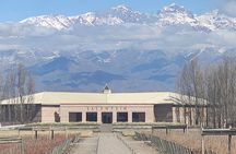 Winery Tour of Uco Valley