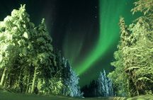 LEVI Northern Lights Tour with Money Back Guarantee