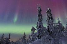 LEVI Northern Lights Tour with Money Back Guarantee