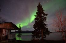 LEVI Northern Lights Tour with Money Back Guarantee