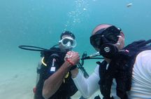Scuba Diving in Phu Quoc Full Day Trip (For Certificated Divers)