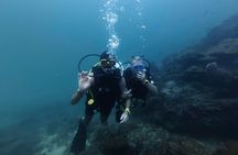 Scuba Diving in Phu Quoc Full Day Trip (For Certificated Divers)