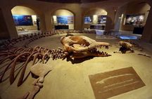 From Cairo 4x4 Safari Camel Ride Magic Lake Waterfalls and Lunch