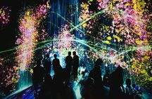 Kyoto TeamLab Biovortex & Kyoto Walking Tour 