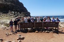 Private Cape of Good Hope Full Day tour