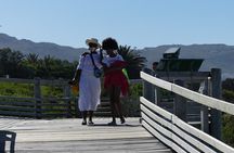 Private Cape of Good Hope Full Day tour