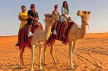 Private Desert Safari Abu Dhabi With Camel Ride & Sand Boarding 