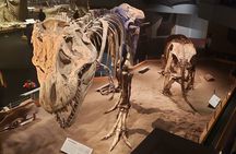 1 Day Guided Badlands Tour of Drumheller Dinosaurs Canyons Hoodoo