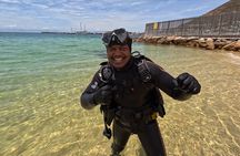 Discover Scuba Diving in Cape Town for Beginners