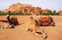 Day trip to Ouarzazate Hollywood and Ait Benhadou