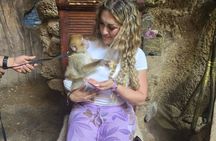 4 Hours Tangier Private Customized Tours