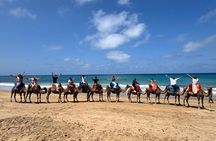 4 Hours Tangier Private Customized Tours