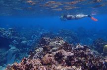 Roatan Private Island Tour With Snorkeling And Beach Time