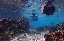 Roatan Private Island Tour With Snorkeling And Beach Time
