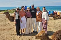 Full day tangier tour