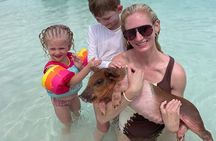 Swim with the Pigs Safari in Bahamas 2 Hours