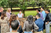 Macadamias Australia Orchard Tour in Bundaberg