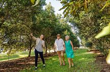 Macadamias Australia Orchard Tour in Bundaberg