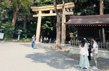 Meiji Shrine Sacred Forest and Shinto Traditions Walking Tour