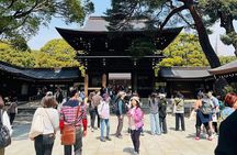 Meiji Shrine Sacred Forest and Shinto Traditions Walking Tour