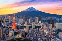 Tokyo Private Sightseeing Tour