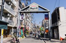 Tokyo Private Sightseeing Tour