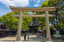 Tokyo Private Sightseeing Tour