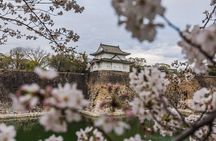 Tokyo Private Sightseeing Tour