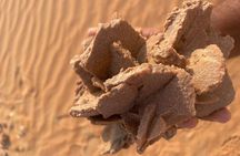 Liwa Sunset Desert Safari 