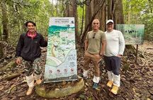 Khao Yai Full Day Tour Haew Narok Waterfall and Jungle Trekking