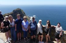 Private Cape of Good Hope Full Day tour