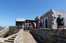 Private Cape of Good Hope Full Day tour