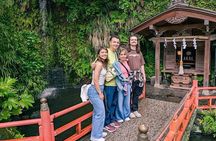 Kamakura Historical Walking Tour with the Great Buddha