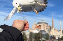 ISTANBUL BEST: Iconic Landmarks Full Day Private Guided City Tour
