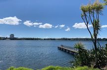 Volcanoes, Coasts, and Secret Spots Afternoon Tour in Auckland