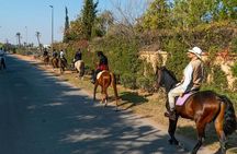 Horseback Ride in Marrakech Palmeraie with Mint Tea