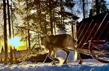 Meet Santa Claus and Experience His Magical World