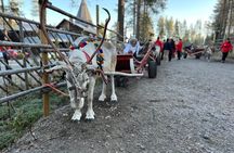 Meet Santa Claus and Experience His Magical World