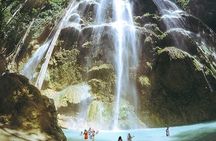 Whale Watching and Tumalog Falls with Ocean View Resort
